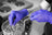 Polyco Handsafe GN91 Nitrile Disposable Gloves