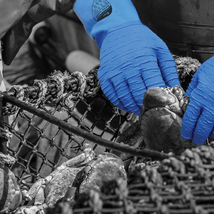 Polyco Blue Grip Crinkle Latex Gloves